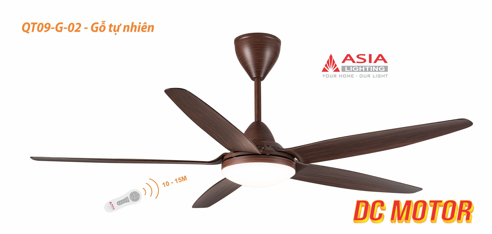 Asian-Quạt trần đèn cao cấp QT09 - Ảnh 4
