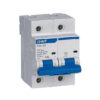 MCB Chint NXB-125 100A 10KA 2P