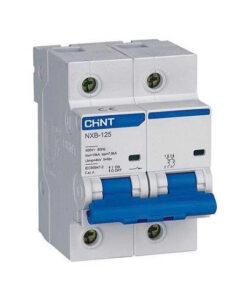 MCB Chint NXB-125 125A 10KA 2P